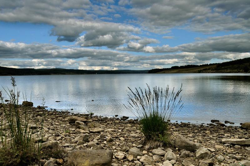 Kielder Water & Forest Park