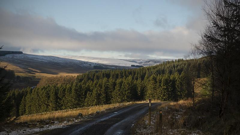 Kielder Forest, Northumberland