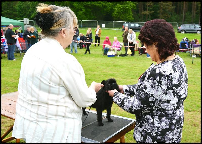 Northumberland County Show